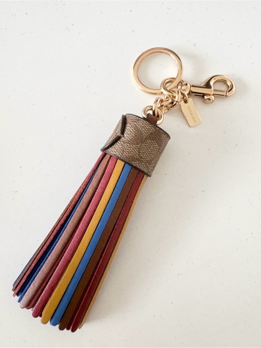 Coach Multicolor Leather Tassel Key Ring